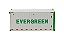 Miniatura Container Refrigerado 20" Evergreen 1/50 Diecast Masters Acessório de Logística - Imagem 2