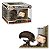 Funko Pop Aliens 3 Ripley & - The Runner #1767 Vinil 9,5 cm Oficial Funko - Imagem 3