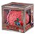 One Piece Card Game Collection Devil Fruits Collection Vol.3 Oficial Bandai - Imagem 1