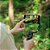 Estabilizador Gimbal DJI Osmo Mobile 6 (Recondicionado) Original Lacrado — Produto Oficial DJI - Imagem 1