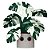 Boneco Funko Pop Plants Flora Monstera - Imagem 1