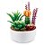 Zuru Capsule Mini Brands Botanical Garden Series 1 — Original Lacrado com Garantia Drive Collection - Imagem 3