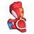 Pelúcia Little Buddy Super Mario Red Yoshi 25 cm - Imagem 3