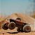 Carro Arrma 1/10 Quake 223S 2WD BLX Monster Truck Vermelho Ara3537t1 - Imagem 8