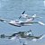 Aeromodelo Flyzone Seawind Hidroavião Brushless EP RX-r Flza4054 - Imagem 2