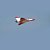 Aeromodelo Great Planes Phazer EDF EP JET ARF Gpma1802 - Imagem 3