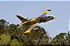 Aeromodelo Freewing l-39 Albatros Camo High Performance 80MM EDF PNP Fj21525p - Imagem 3