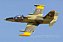 Aeromodelo Freewing l-39 Albatros Camo High Performance 80MM EDF PNP Fj21525p - Imagem 2