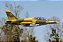 Aeromodelo Freewing l-39 Albatros Camo High Performance 80MM EDF PNP Fj21525p - Imagem 4
