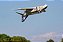 Aeromodelo Freewing f-4 Phantom II "ghost Grey" 8S 90MM EDF JET Fj31232p - Imagem 6