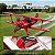 Aeromodelo FMS Pitts 1400mm V2 PNP Fms126p - Imagem 2