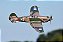 Aeromodelo FMS p-40B Flying Tiger Aircraft 980MM PNP Fms075p - Imagem 6