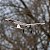 Aeromodelo e-Flite UMX Slow Ultra Stick RTF As3x/safe Select Eflu03000 - Imagem 3