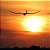 Aviao e-Flite Night Radian 2.0M BNF Basic Efl36500 - Imagem 2