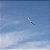 Aviao e-Flite Night Radian 2.0M BNF Basic Efl36500 - Imagem 6