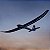 Aviao e-Flite Night Radian 2.0M BNF Basic Efl36500 - Imagem 4