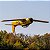 Aviao e-Flite Carbon-z t-28 Trojan 2.0M W/smart BNF Efl013550 - Imagem 3