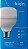 LAMPADA LED 20W BULBO ALTA POTENCIA  BRANCA 6500K BIVOLT ELGIN - Imagem 2