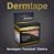 FITA / BANDAGEM KINESIO BEGE 5CM X 5M - DERMATAPE - Imagem 2