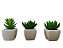 Vasinho de Cerâmica 3 Unidades com Suculenta Artificial Para Decoração - Imagem 1