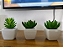 Vasinho de Cerâmica 3 Unidades com Suculenta Artificial Para Decoração - Imagem 3