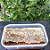 Favo de mel 300g - Imagem 19
