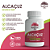 Kit 2x Alcaçuz 120 Cápsulas - 500mg - 100% Natural - Imagem 2