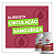 Ginseng Panax Coreano 500mg - Imagem 5