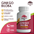 Ginkgo Biloba 100% Puro - Cápsulas 500mg - Imagem 2