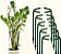 Anéis Flexíveis de Suporte para Plantas - Imagem 1