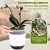 Vaso Autoirrigável - Design Moderno para Orquídeas e Plantas - Imagem 3