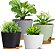 Vasos para Plantas Autoirrigável - Kit 2 pçs - Imagem 1