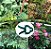 Clipes de Suporte de Plantas - Imagem 2