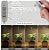 Luzes de Crescimento para Plantas Internas - Imagem 4