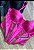 Corselet Tule Luana - Imagem 3