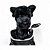 Daphne's Headcover Taco Golfe Cachorro Labrador Preto - Imagem 1