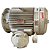 MOTOR ELETRICO P7245323-001 125V RPM 3570 - Imagem 4