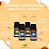 ESSÊNCIA OLEOSA AMAZÔNIA AROMAS 10ML - HARMONIA - Imagem 3