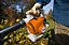 Soprador STIHL BG 86 C-E a Gasolina 27,2cc - Sistema Easy2Start - Imagem 2
