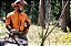 Motosserra STIHL MS 462 C-M VW 6,0 HP - Imagem 5