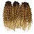 Cabelo de Fibra Orgânica Crochet Braid Ambar 60cm - Cor 2/27/613 - Imagem 4