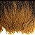 Cabelo de Fibra Sintética Afro Twist 45cm - Cor T1B/27 - Imagem 3