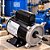 Motor Elétrico Monofásico 0,5cv 110/220v 60Hz Jet Pump B34t - WEG - Imagem 4