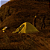 Barraca Igloo Moray 2 Lugares - Hawapi (Verde) - Imagem 6