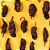 Chile Morita – 125 g - Imagem 2