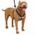 Peitoral Nylon Pitbull-Gisele - Imagem 1