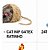 CAT NIP GATEX RATINHO - Imagem 4