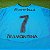 Camisa Grêmio 2008 Celeste - #7 - Tam P - Imagem 8