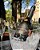 Champagne Peterlongo Elegance Brut 750ml - Imagem 4