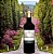 Azeite Castelo de Bolghery 500ml - Imagem 2